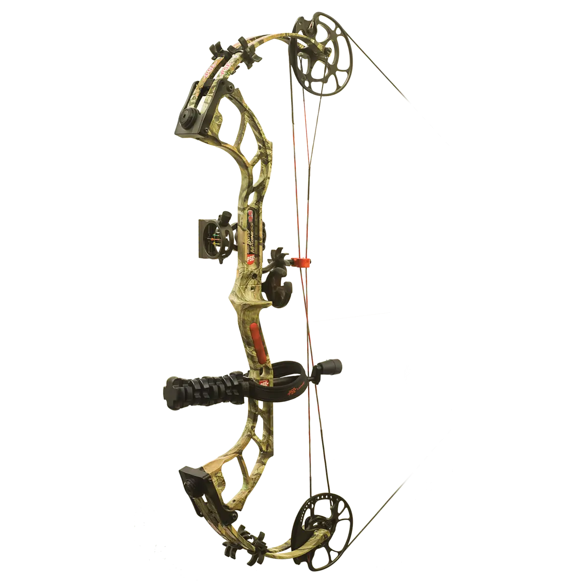 Modern Compound Bow for Archery and Hunting