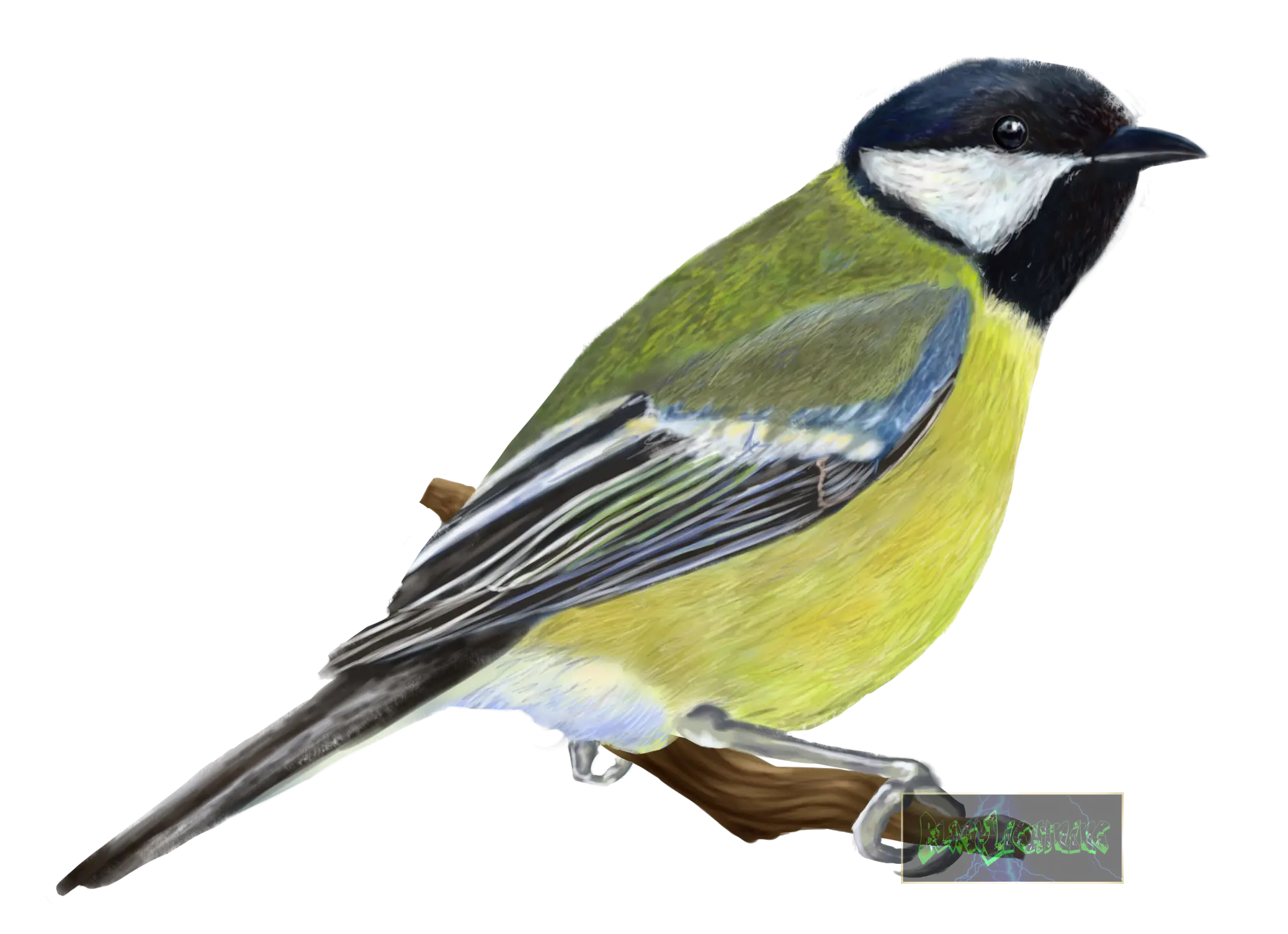 Yellow Bird Perched on a Branch