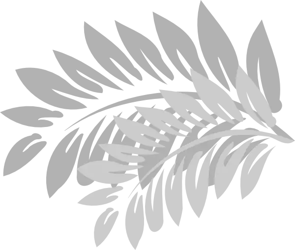 Gray Leaves Botanical Illustration