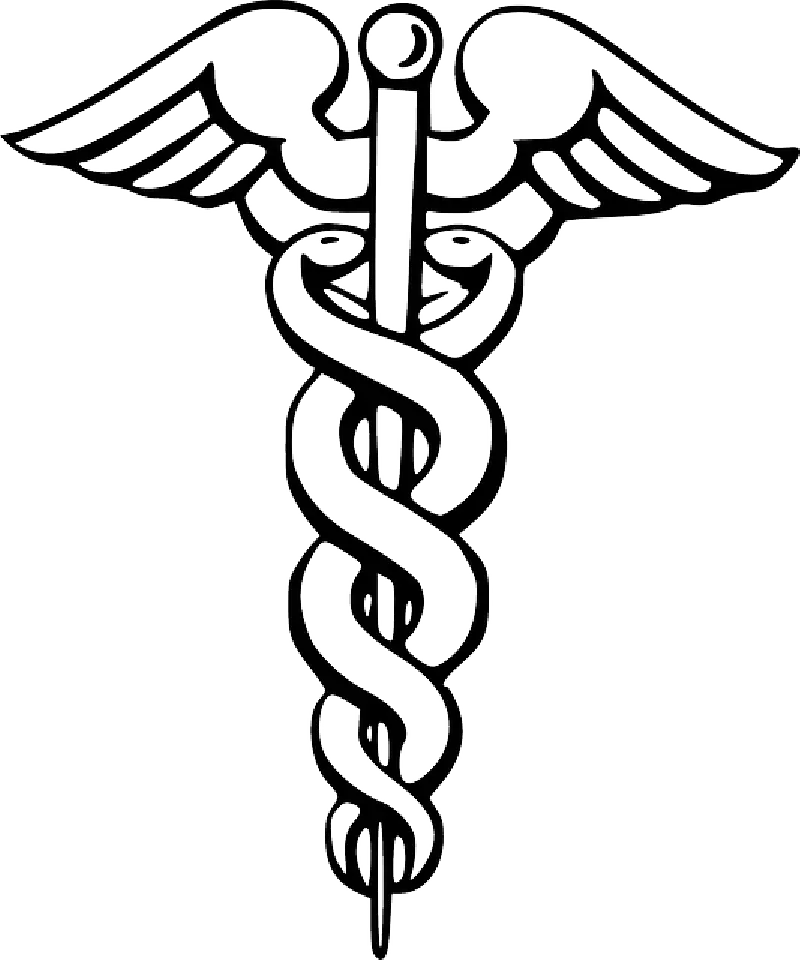 Caduceus Medical Logo Illustration