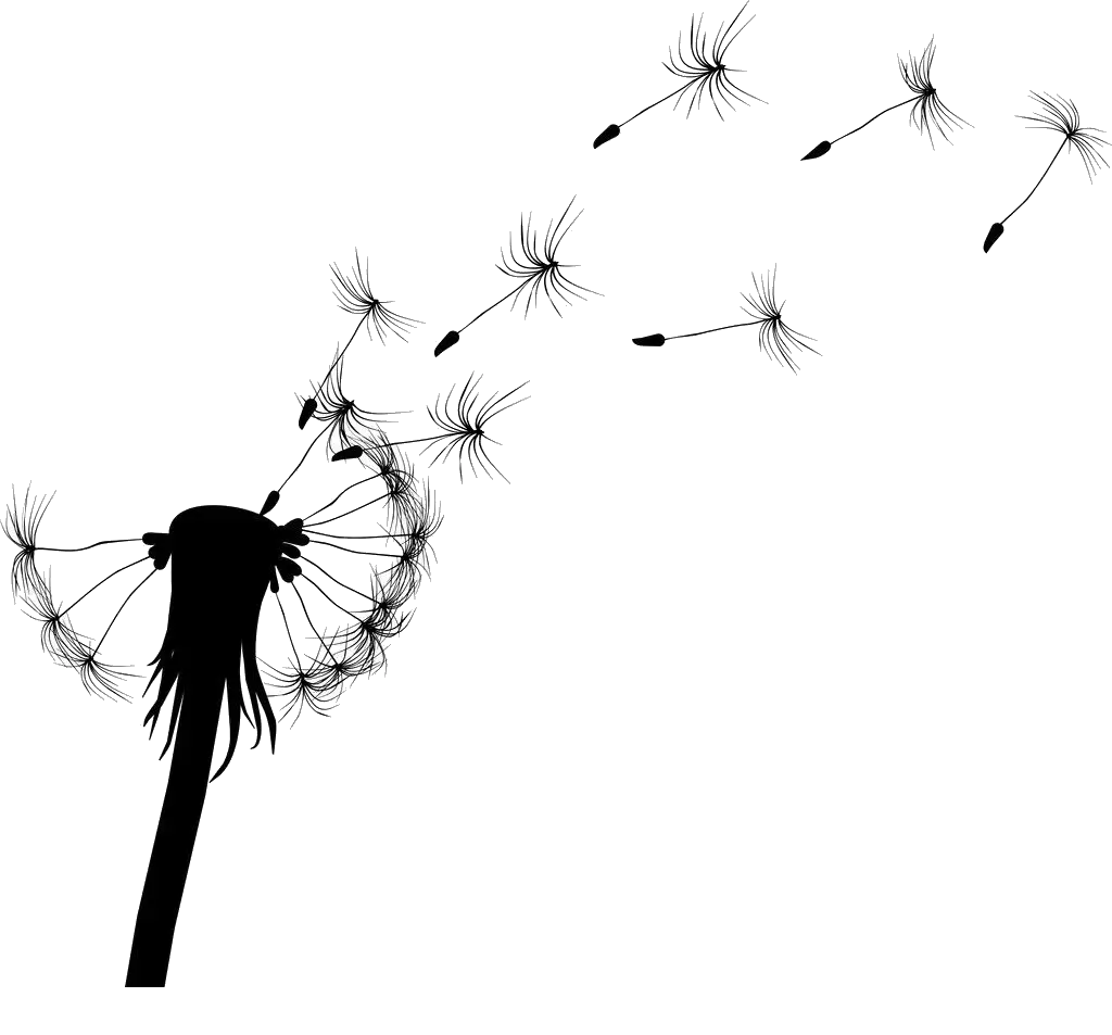 Dandelion Blowing in the Wind