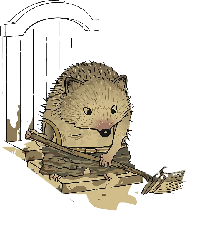 Cute Hedgehog Illustration