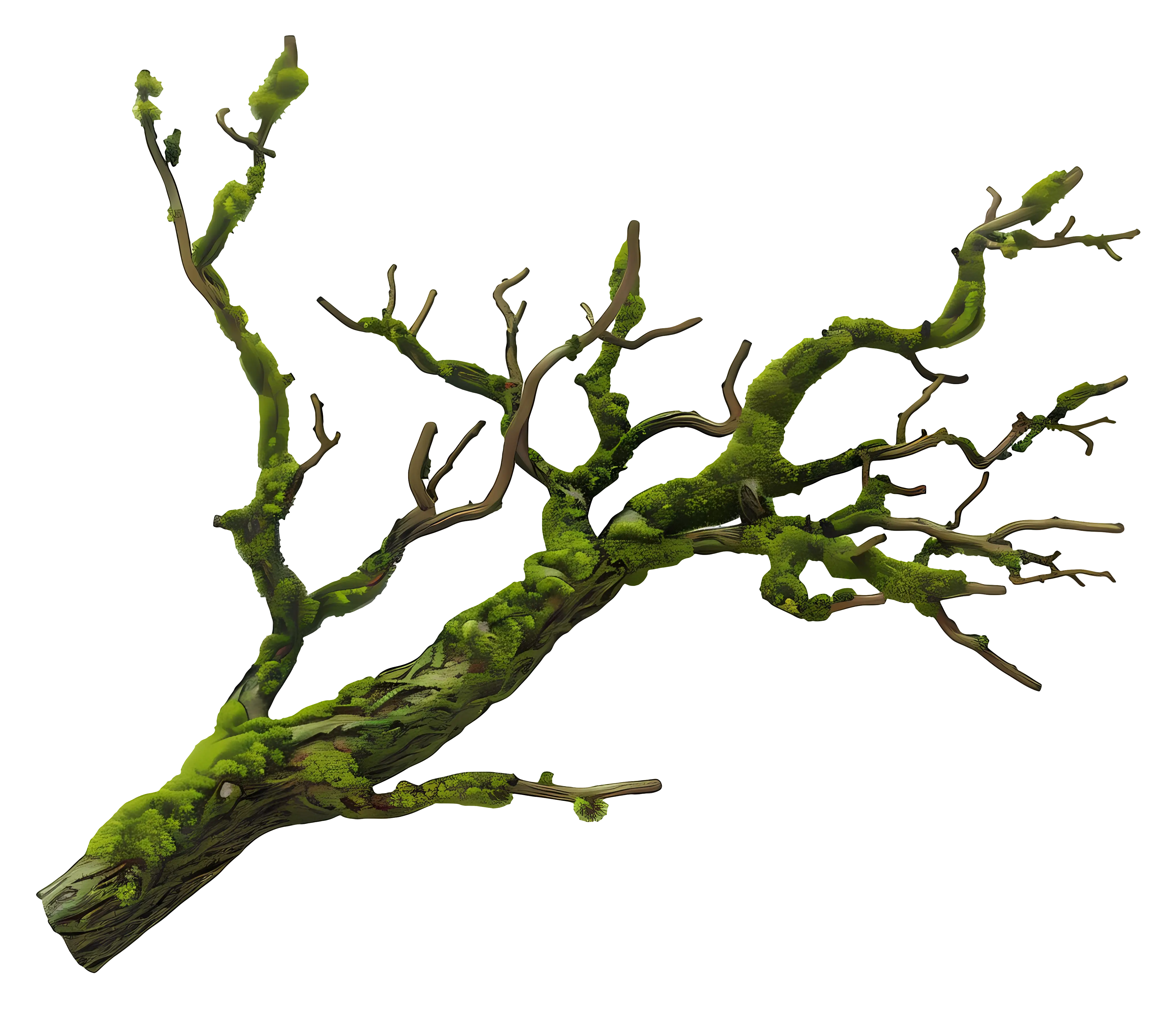 Moss-Covered Tree Branch Illustration