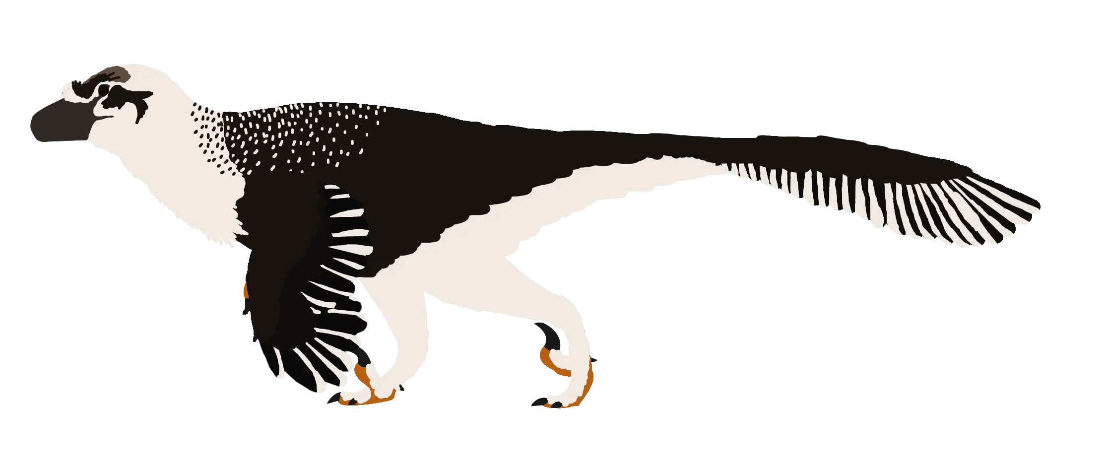 Feathered Dinosaur Illustration