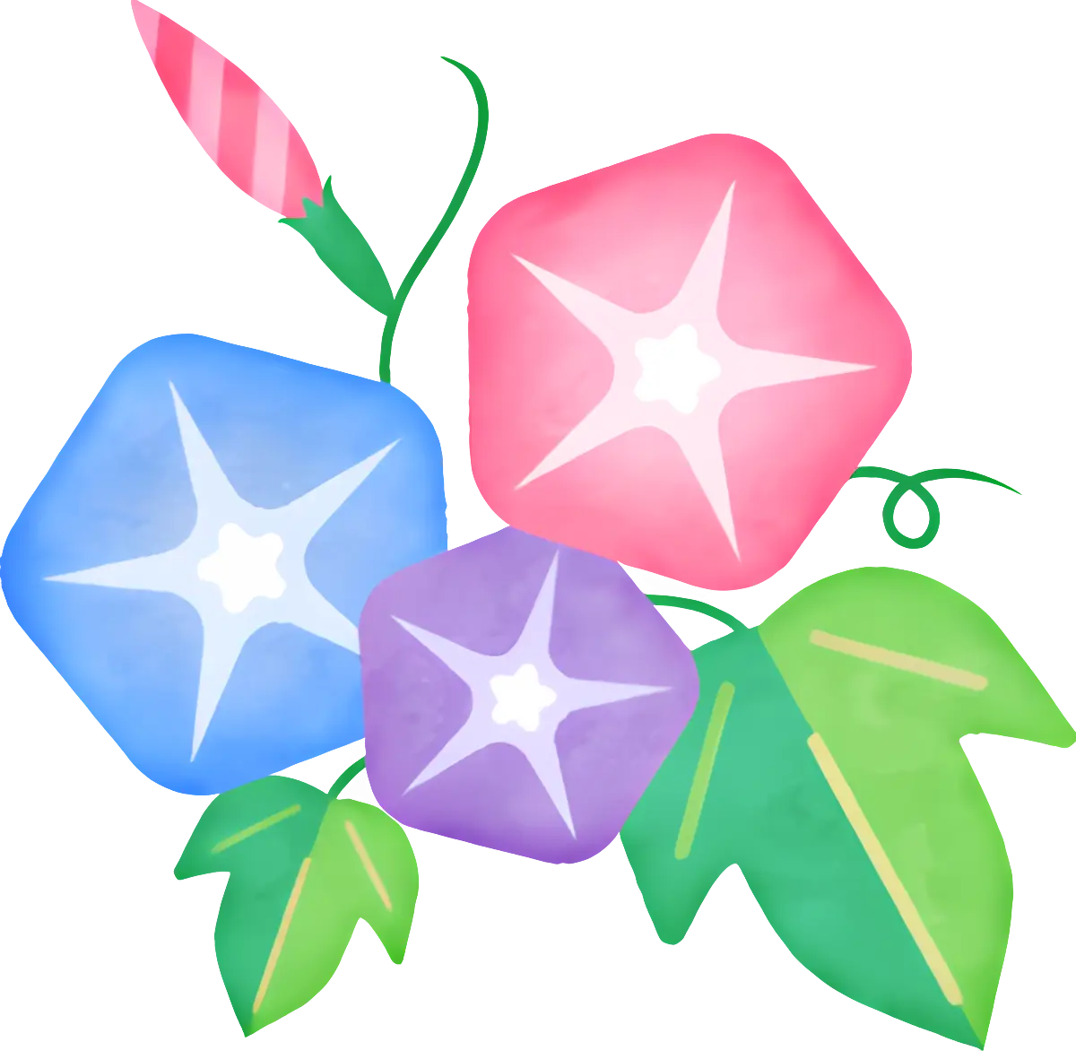 Pastel Cartoon Illustration of Morning Glory Flowers