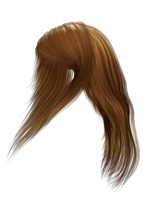 Long Brown Hair Illustration with Realistic Texture