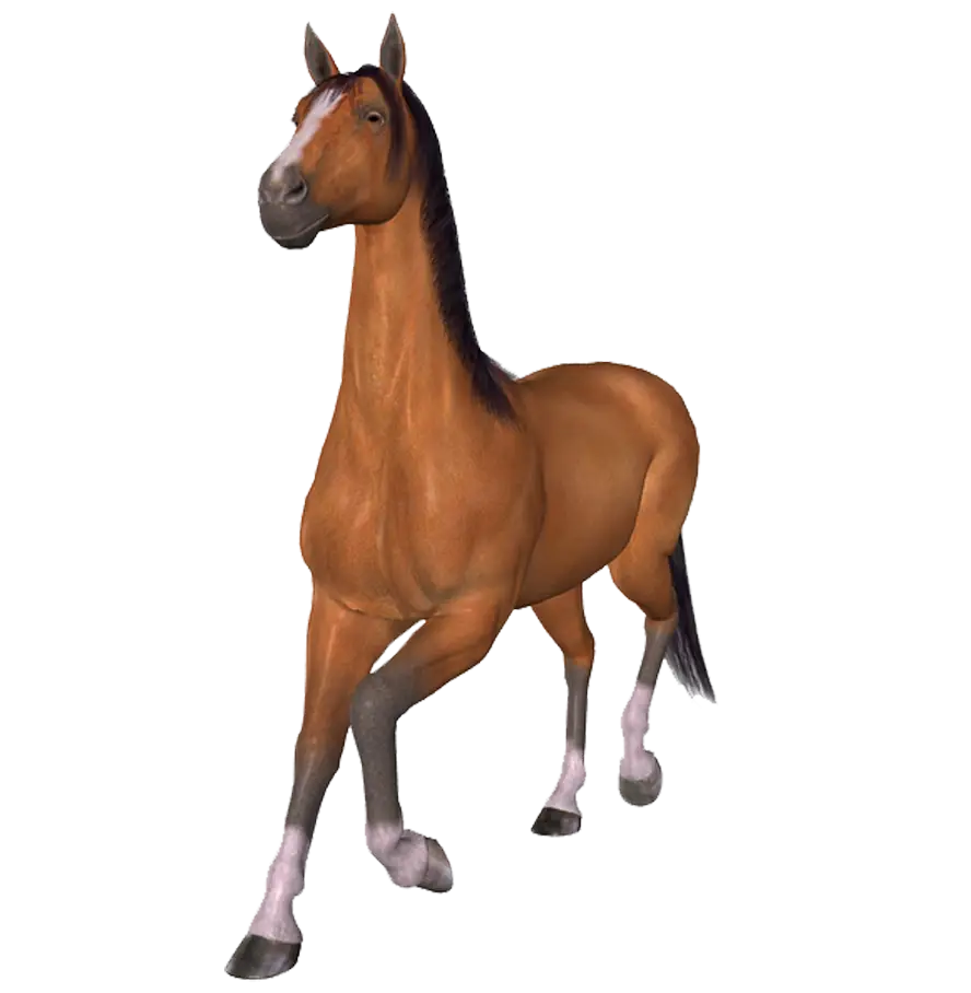 Majestic Brown Horse Illustration