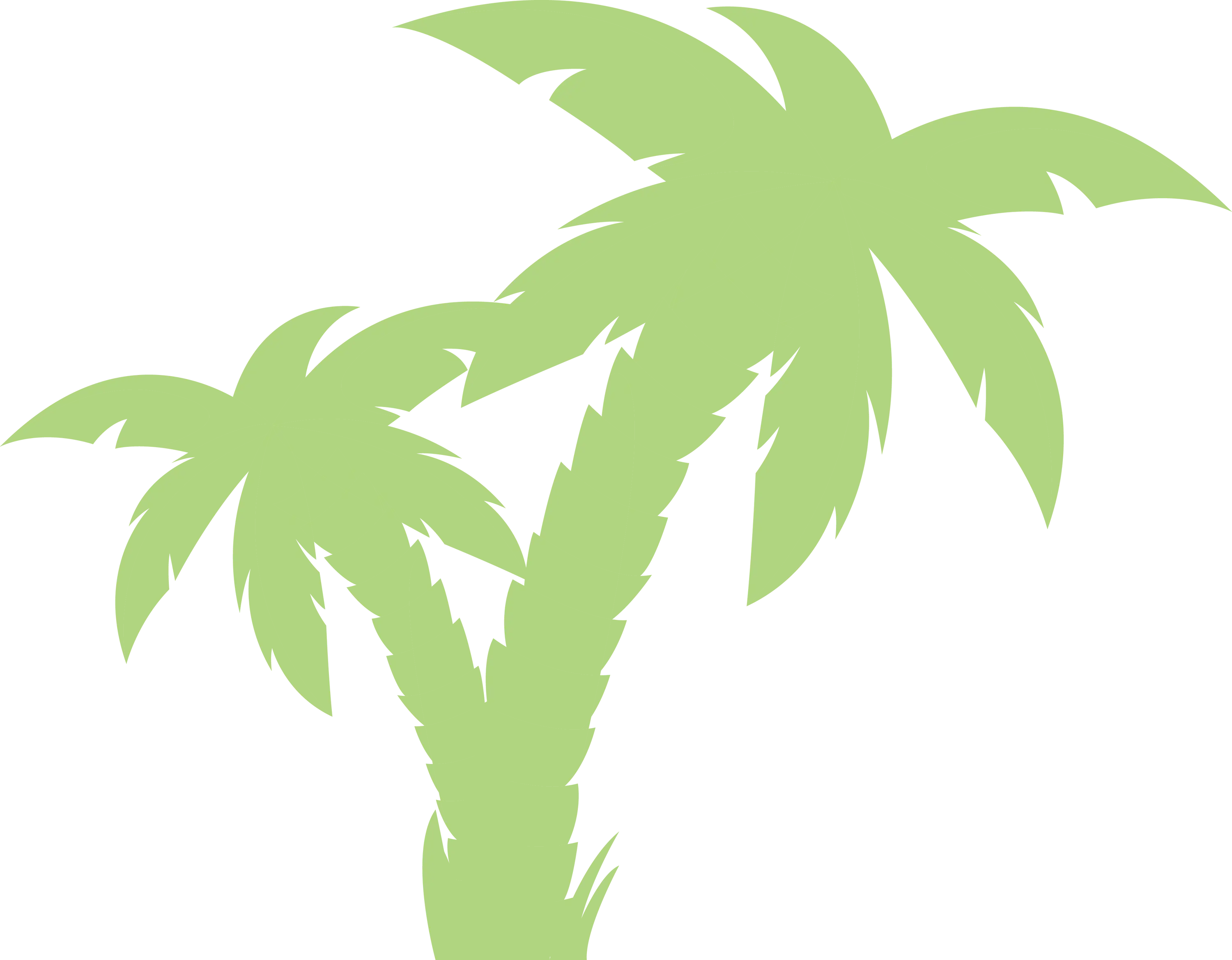 Green Palm Trees Illustration for Tropical Design