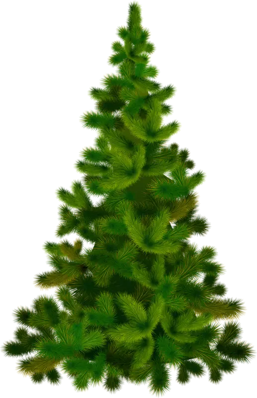 Lush Green Pine Tree