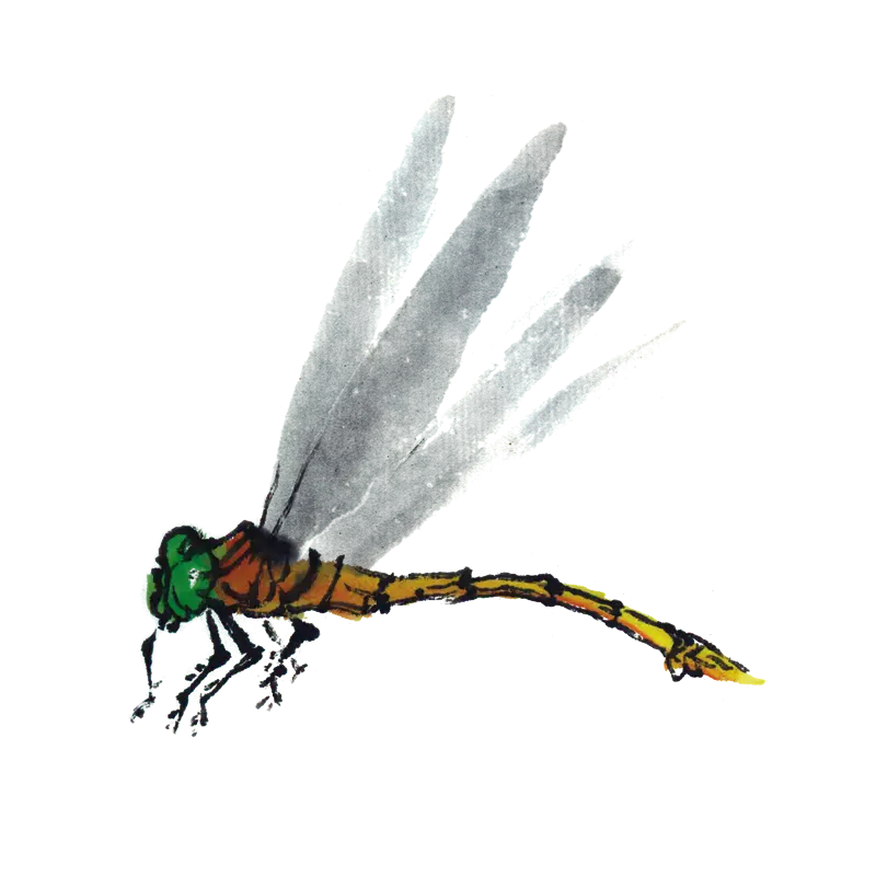 Artistic Dragonfly Illustration