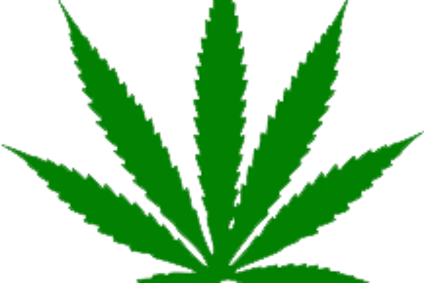 Green Cannabis Leaf Illustration