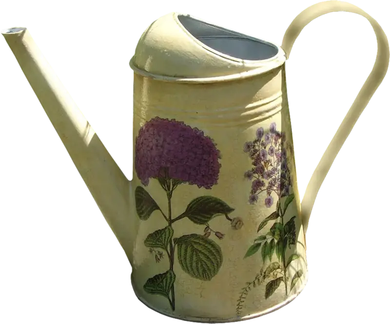 Decorative Watering Can with Flowers