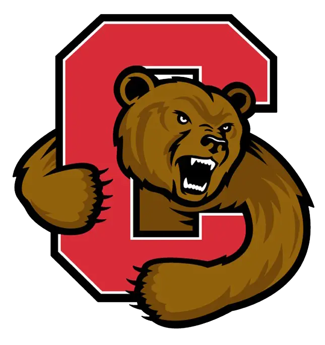 Fierce Bear Mascot Logo Design