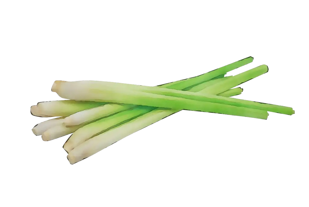 Fresh Lemongrass Stalks for Cooking and Aroma