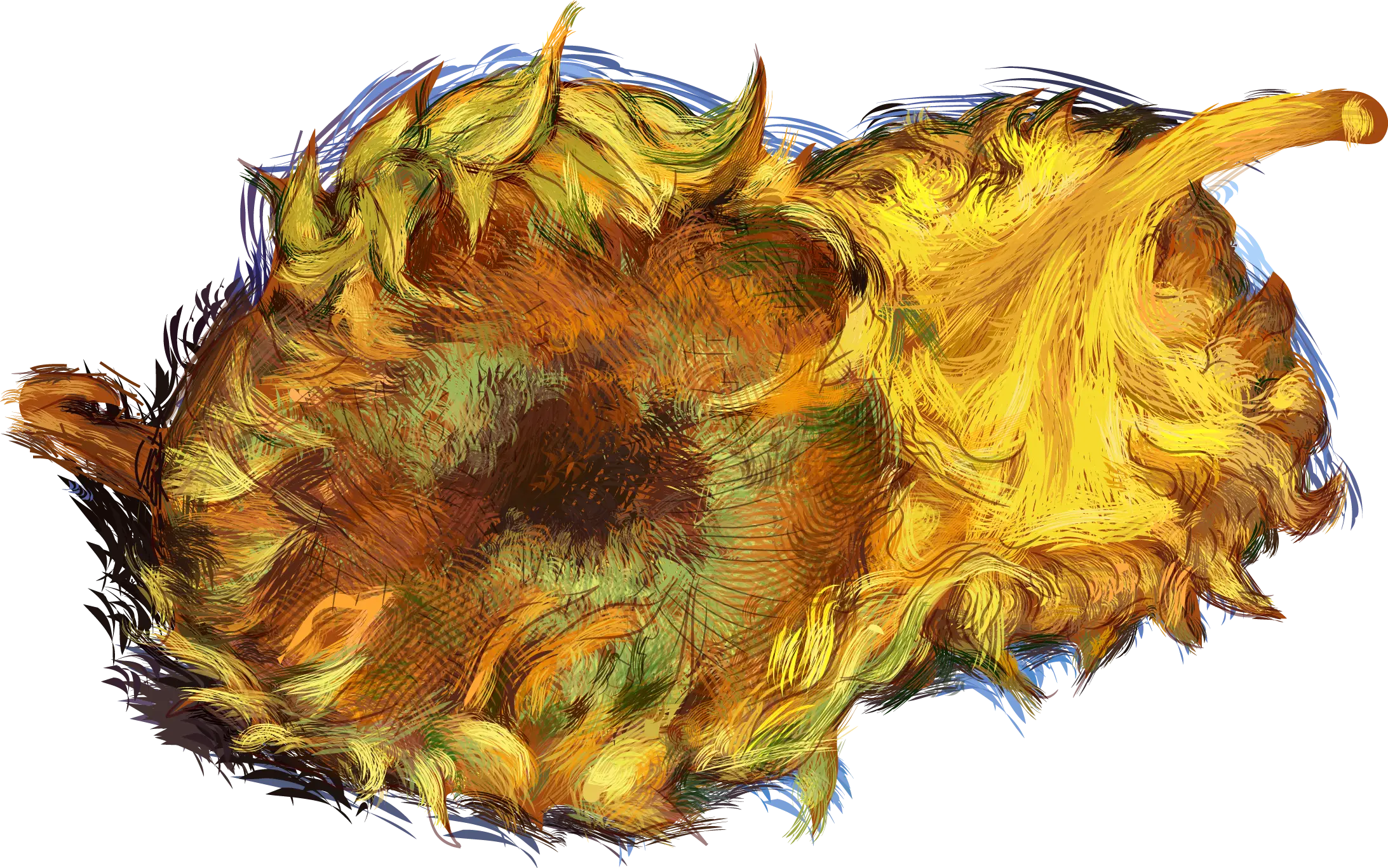 Sunflower Head with Seeds