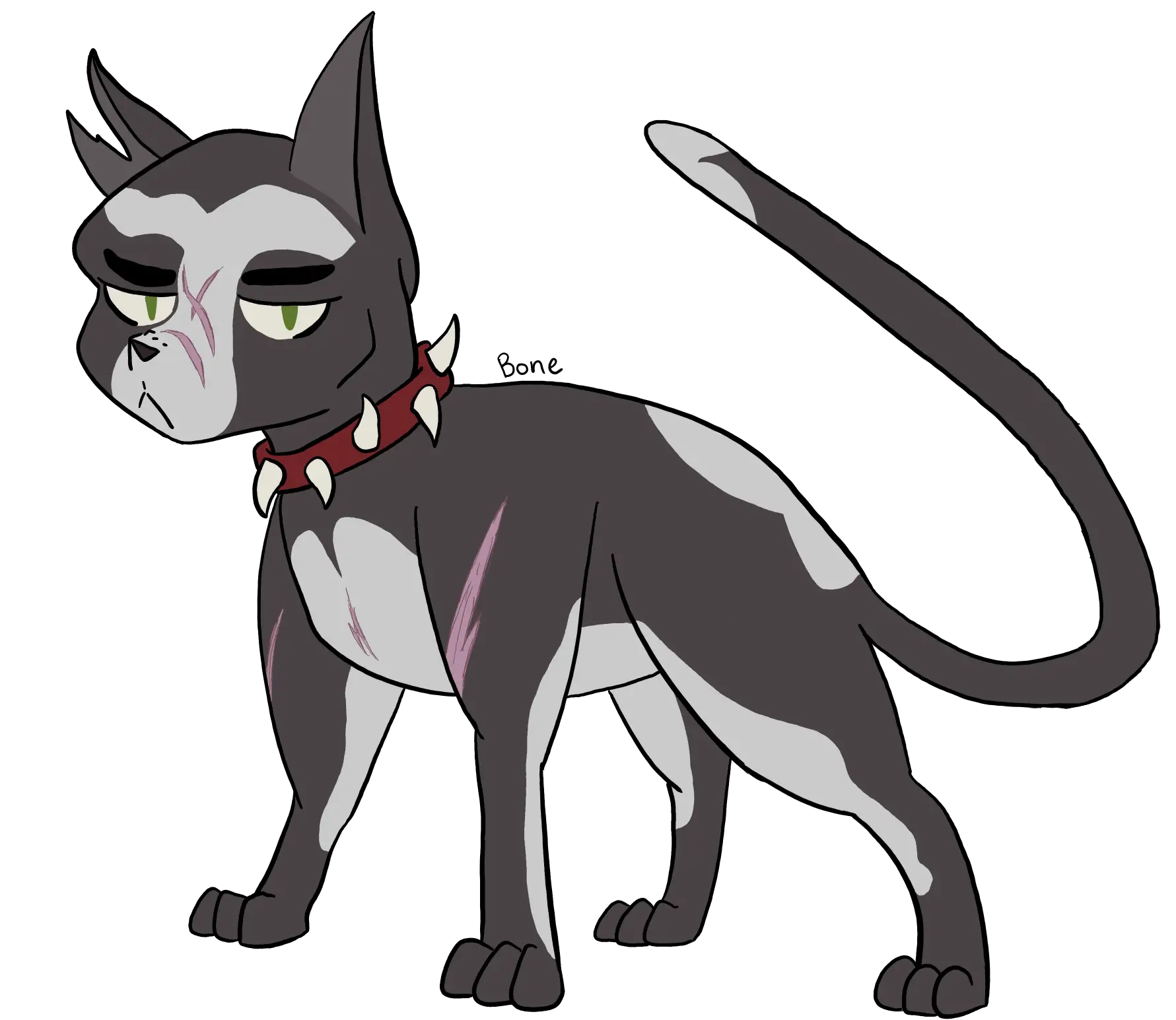 Cartoon Cat with Scars and Spiked Collar
