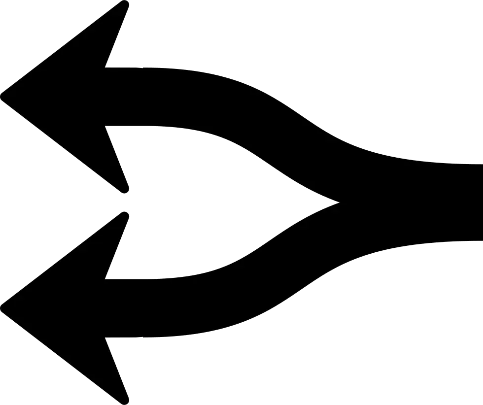 Bidirectional Curved Arrows