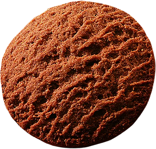Delicious Chocolate Cookie