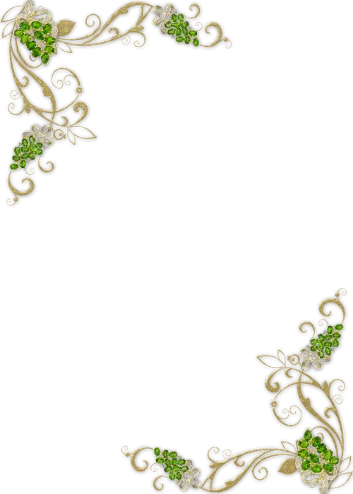 Elegant Floral Border Decorative Frame