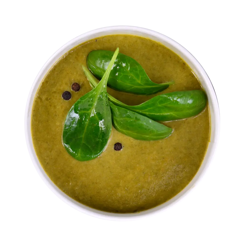 Healthy Green Spinach Soup