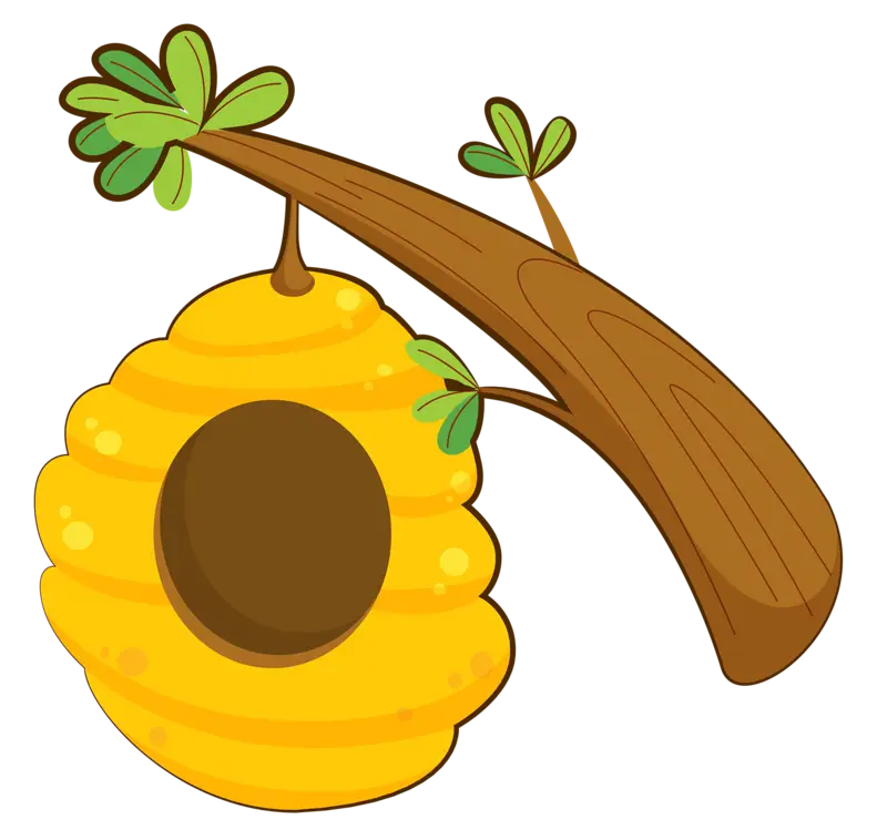 Beehive Hanging from Tree Branch