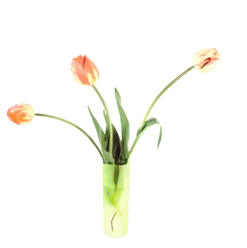 Tulips Arranged in Elegant Vase
