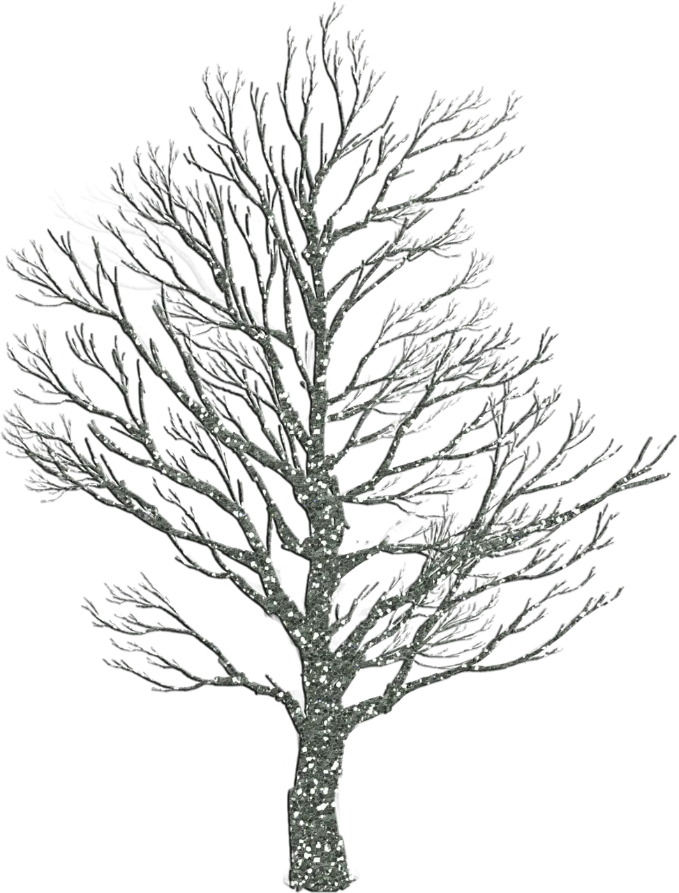 Bare Tree Illustration for Winter Concept