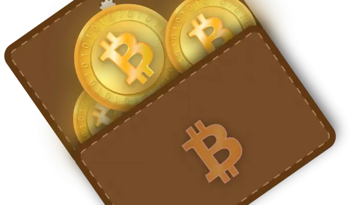 Digital Bitcoin Wallet with Coins