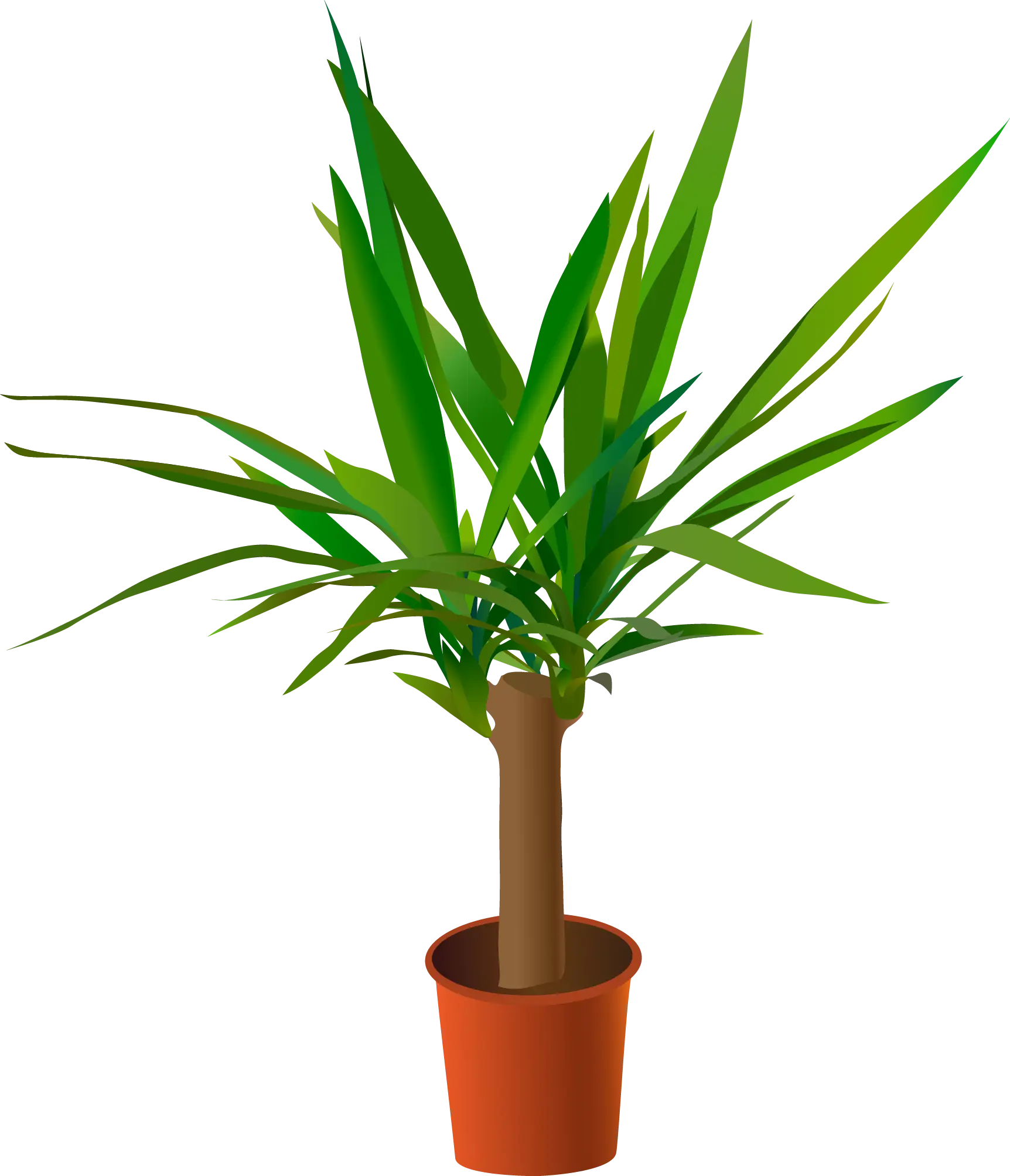 Cartoon Styled Dracaena Plant in a Pot