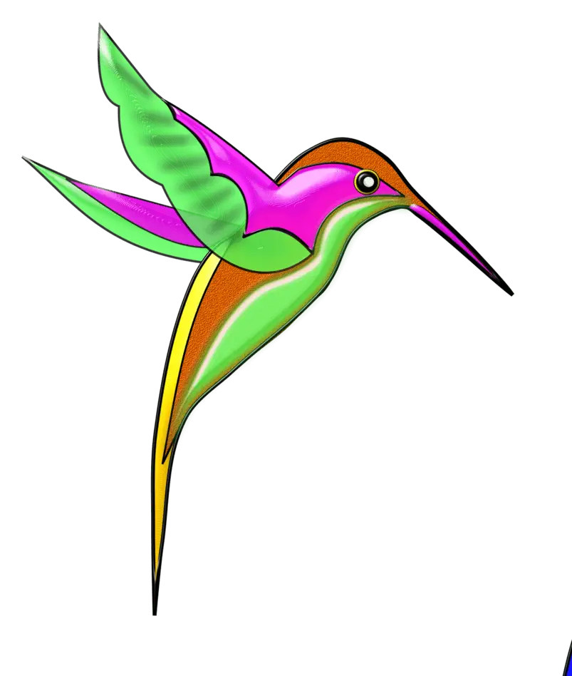 Colorful Hummingbird Illustration