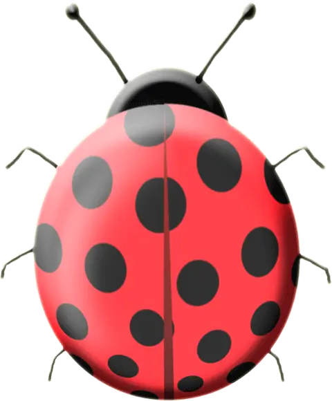 Red Ladybug with Black Polka Dots