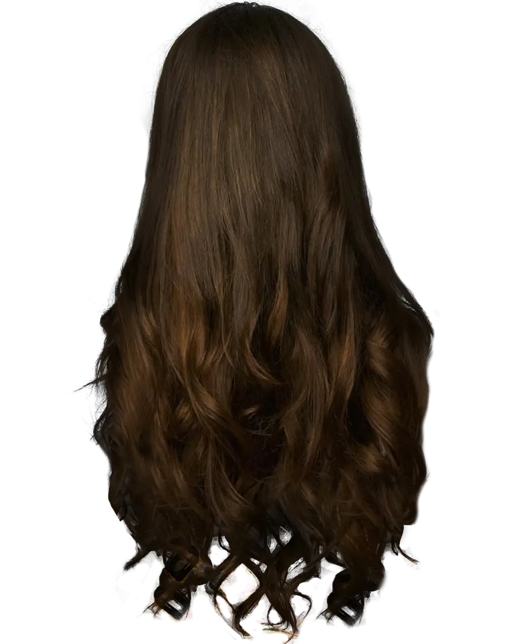 Brown Long Hair Illustration for Beauty Concepts