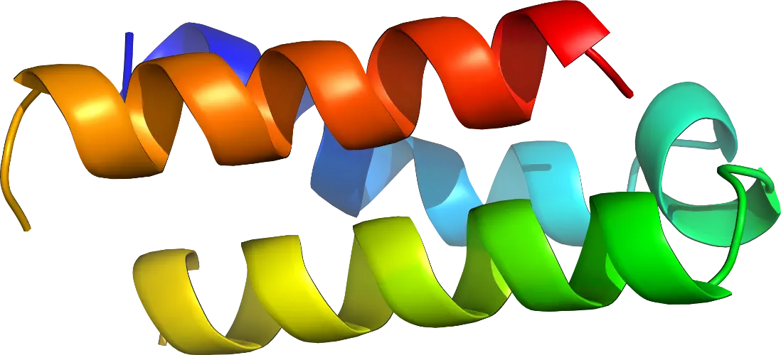 Colorful Protein Structure Representation