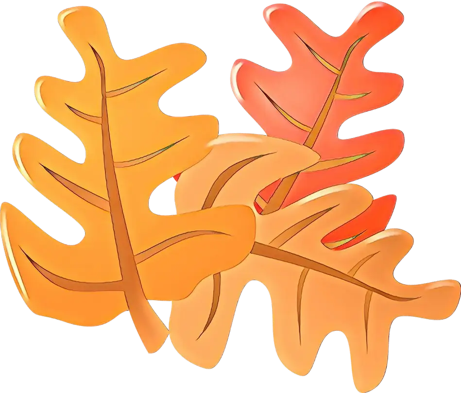 Orange and Red Autumn Leaves