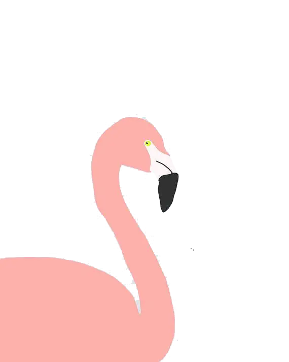 Pink Flamingo Illustration