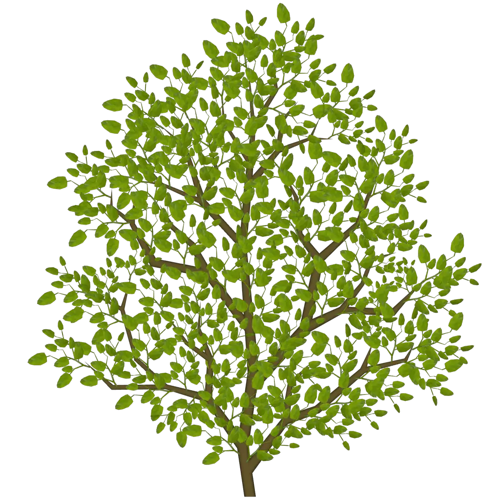 Illustration of Tree with Dense Green Leaves