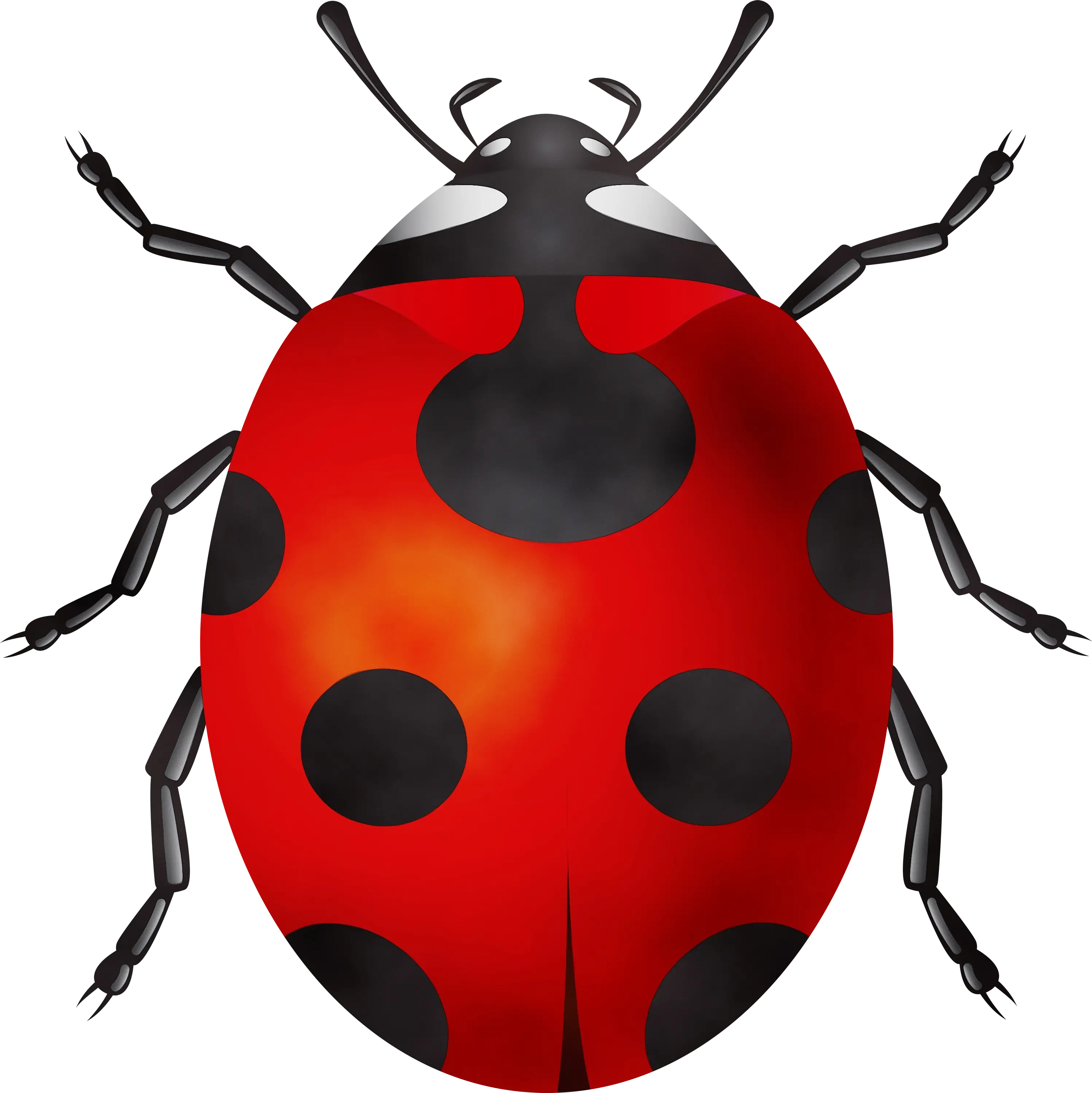 Realistic Red Ladybug with Black Spots