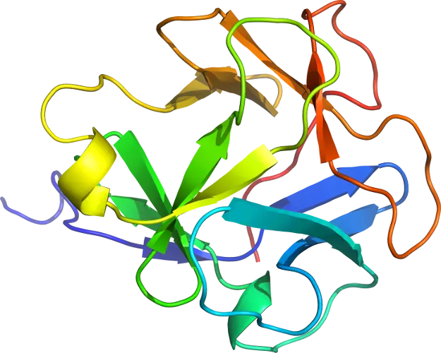 Colorful Protein Structure Model Illustration