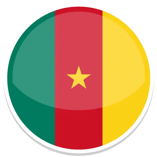 Cameroon National Flag