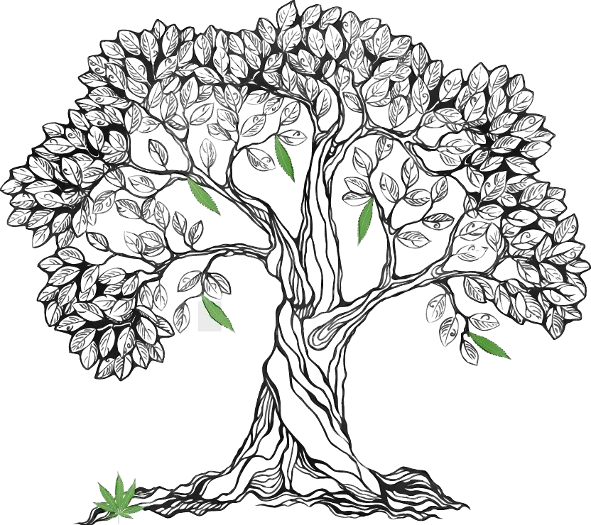 Artistic Tree Drawing