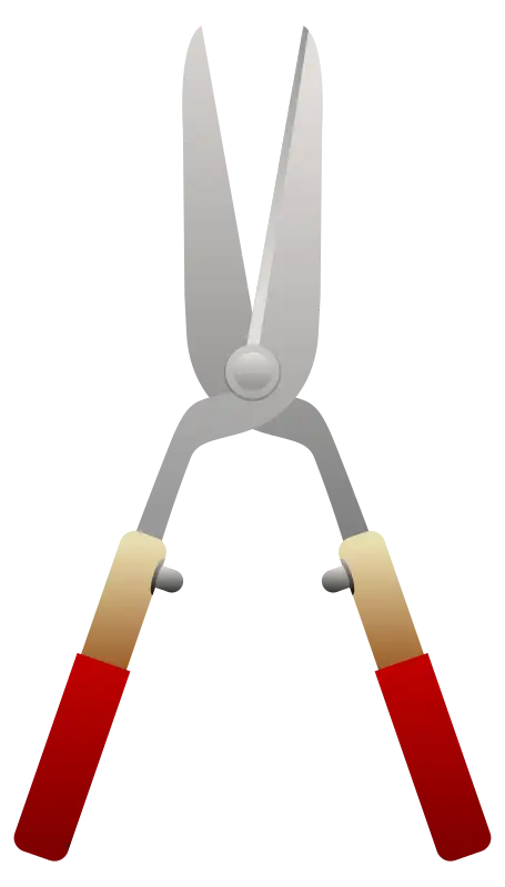 Garden Shears Illustration