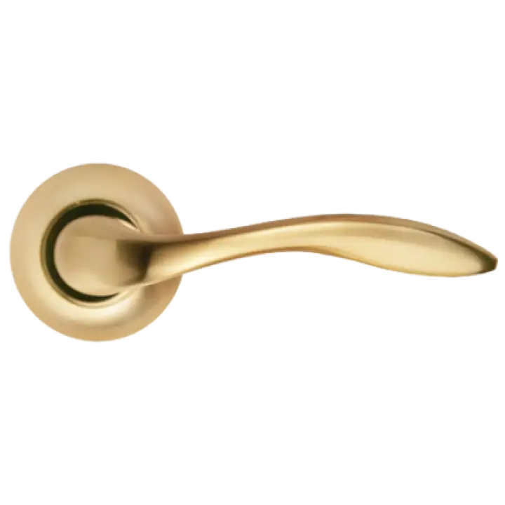 Elegant Golden Door Handle for Home Decor