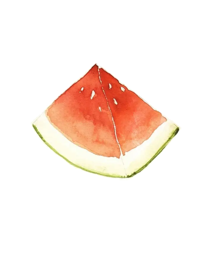 Watercolor Watermelon Slice