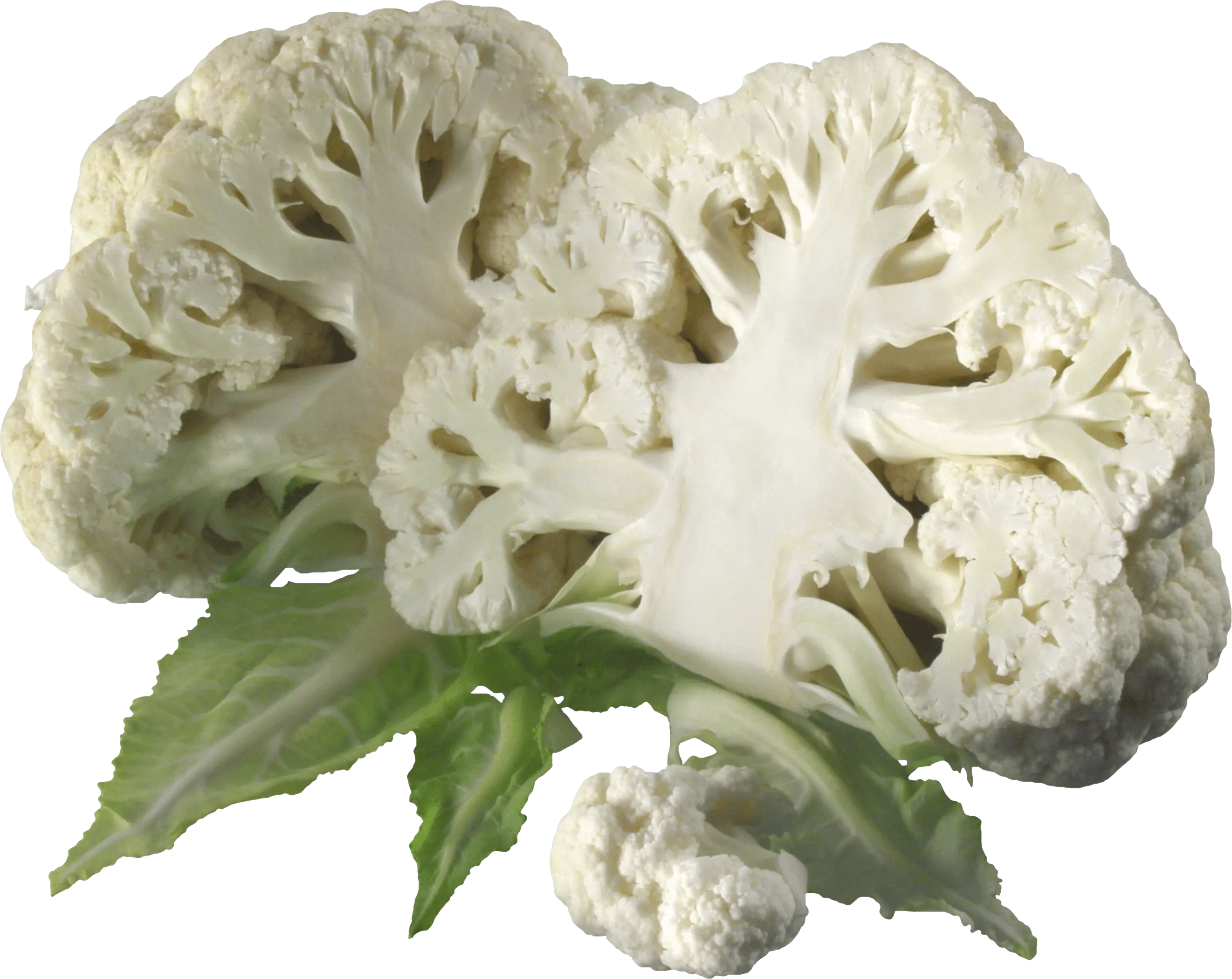 Fresh Cauliflower with Green Leaves