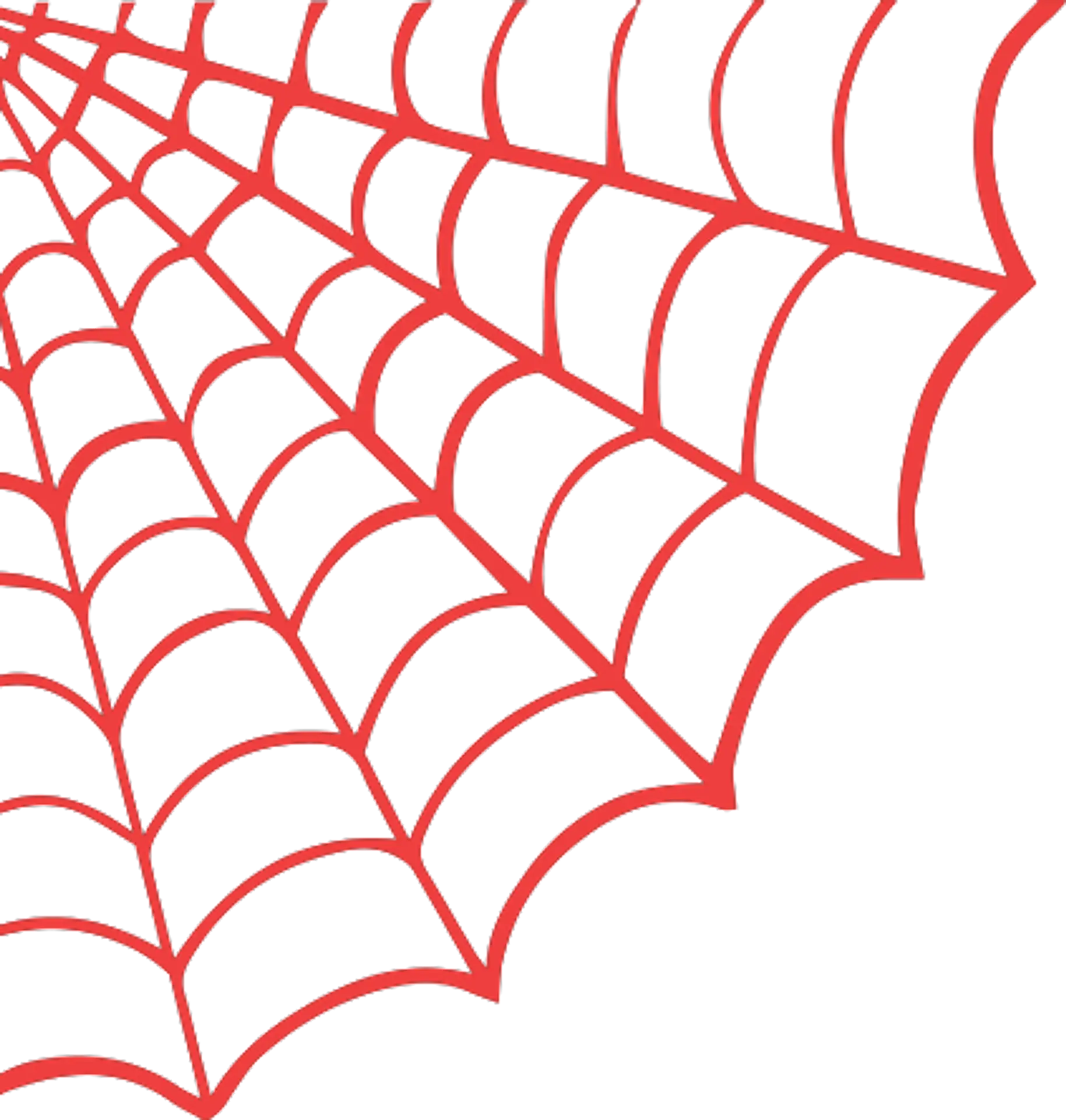 Red Spider Web Graphic Design