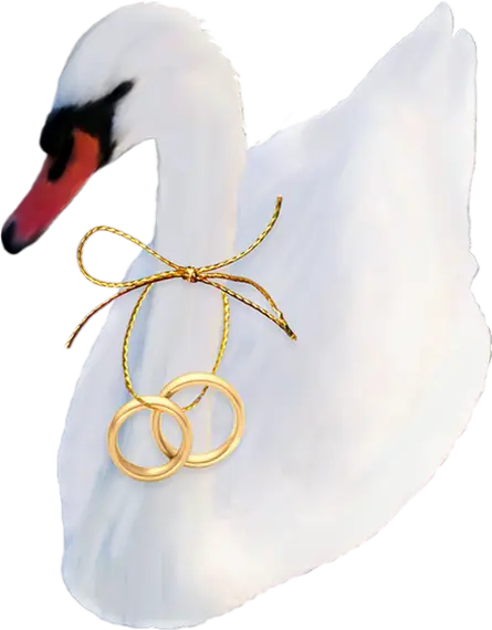 Swan with Wedding Rings