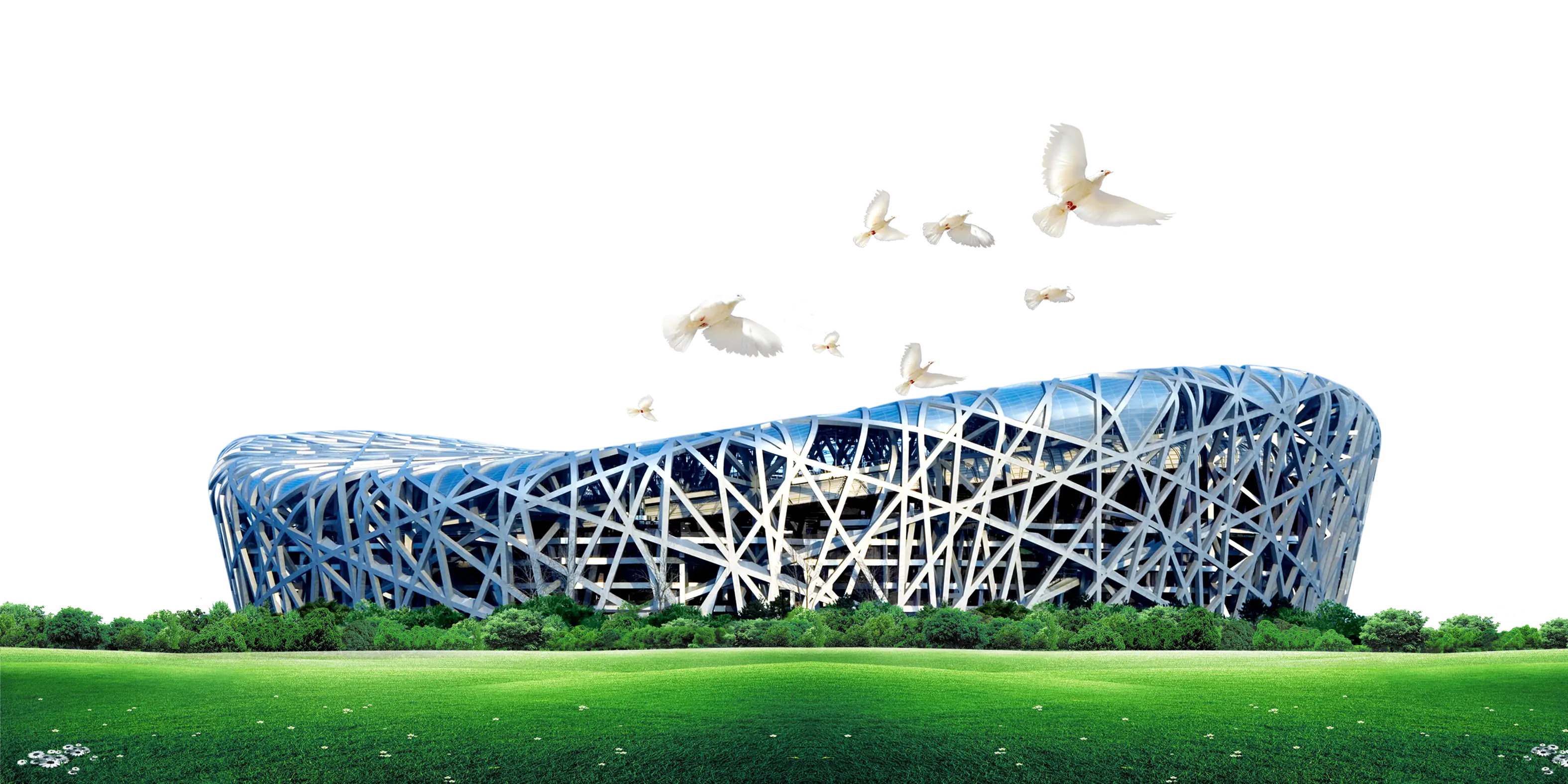 Modern Stadium with Birds