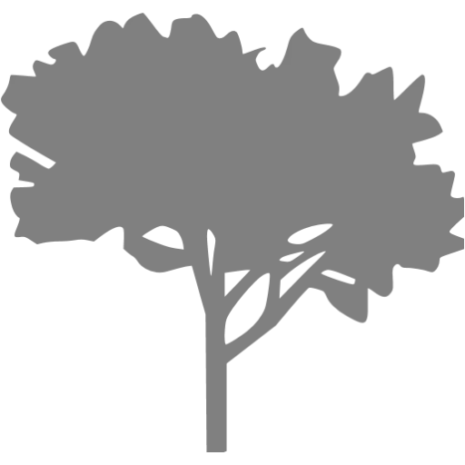 Tree Silhouette Graphic Design