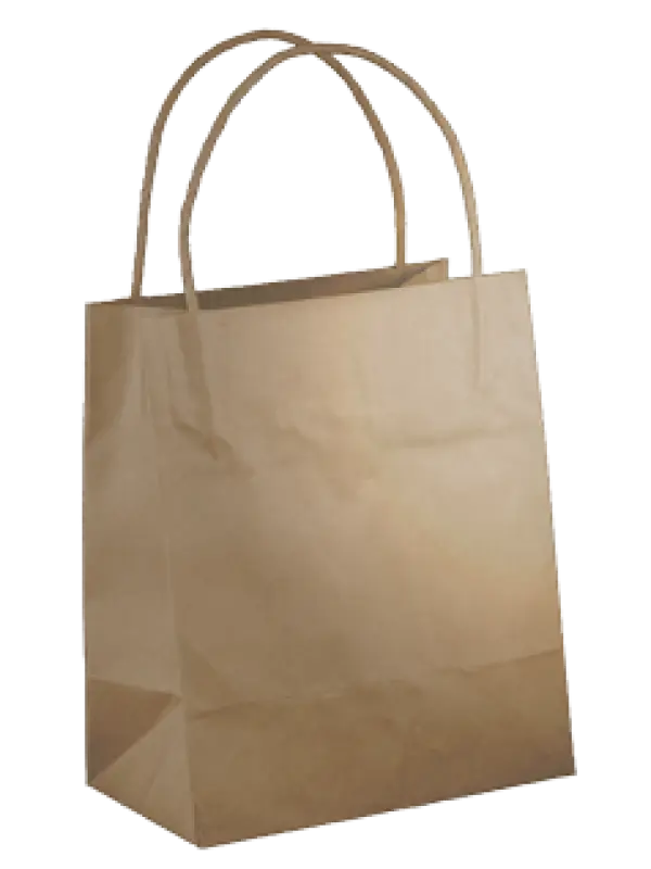 Plain Brown Paper Bag