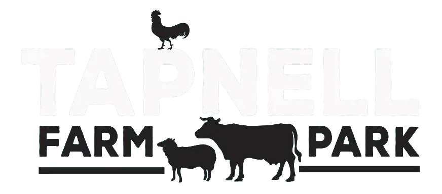 Farm Animals Silhouette